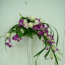 크레센트 (CRESCENT) 이미지