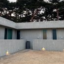 1950스테이