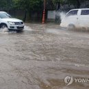 강릉대인근(7번국도)