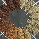 바리스타에게 배우는 커피 이미지