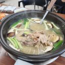 홍천심마니