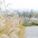 세종청사 2동 이미지