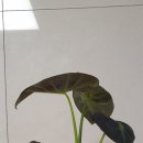 목대통신 이미지