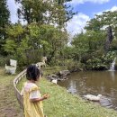 연두목장 이미지