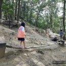 천생산성 유아숲체험원 이미지