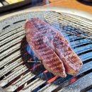 신기가족농장 이미지