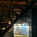 슬로우 인 풀빌라 이미지