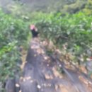 고요부부농장 이미지