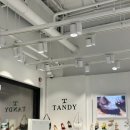 탠디신세계사이먼