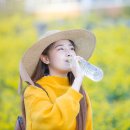 (주)경기수질환경개발 | 국내 생수 브랜드 완벽 비교 가이드
