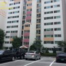 노원로(남측) 이미지