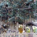 마운틴리버 이미지