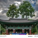 진주 응석사 대웅전 | 진주 응석사의 여름.