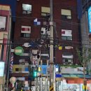 신상경로당 Daum카페