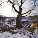 사색의길(명재고택) 이미지