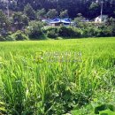 도화리농장 이미지