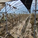 알이 하우스 이미지