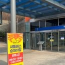 영덕대게 | 2026 영덕대게축제 방문 후기, 무료 셔틀버스 위치