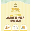 핫펫