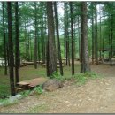 청옥산휴양림 이미지