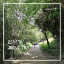 능안공원사거리(현수막 게시대 앞) | [목포 무안남악신도시 숲길산책코스] 대죽도 유아숲 체험원에서 두뇌를 깨우고 전남도립도서관에서 우뇌...