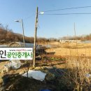 양지-3353 이미지