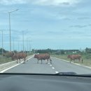 (유)바나힐 이미지