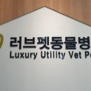 러브펫 동물병원 이미지