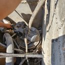 성호동010 이미지