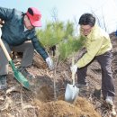 미성동-4 이미지