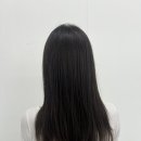 현주미용실 네이버블로그