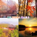 장태산 자연 휴양림 이미지