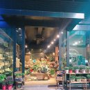 얼반트레이더스 이미지