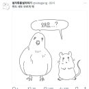 포토이즘수원