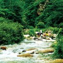 춘산 목장 | ** 그곳에 가고싶다 계곡 발담그기 **