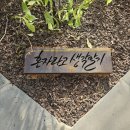 진주희 행정사 사무소 이미지