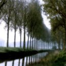 겨울아침창가에서 이미지