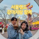 나나애견 | 서울랜드 애견동반 가능?? 나나랑 직접다녀온 후기