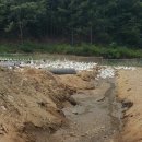 대주농장 이미지