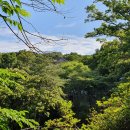 봉천동 마애미륵불 좌상 이미지