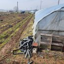 정족동농장 이미지