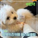 [평택] 평택키즈카페 이색데이트 애니멀클럽