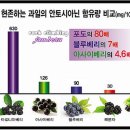 미소약국 이미지