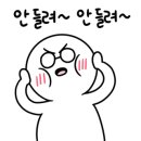 라라엘 이미지