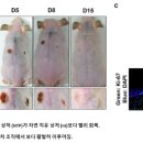 이선생뷰티 이미지