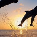 스테이333 이미지