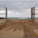 월송정月松亭 이미지