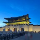 서울 아이와 가볼만한곳 추천｜경복궁 야간개장 & 광화문 책마당 서울야외도서관 후기