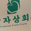 갑자상회