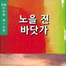 노을 진 바닷가 / 이미애 시집 (전자책) 이미지